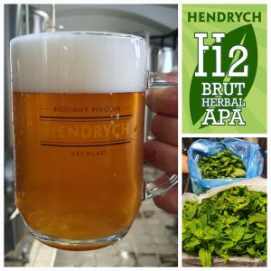 Další letní novinka v prodeji: H12 Brut Herbal APA!