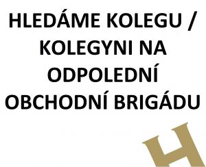 Brigáda